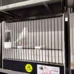 canari blanc recessif