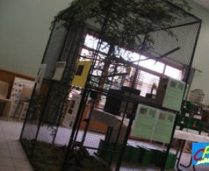 photos2006expo-0008