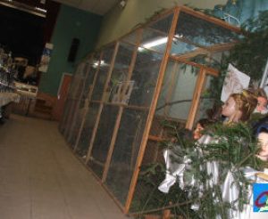 photos2006expo-0009