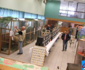 photos2006expo-0015