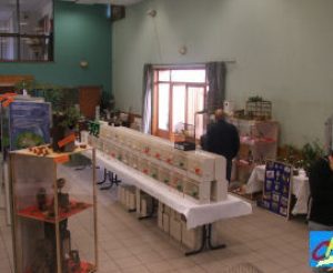 photos2006expo-0016