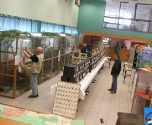 photos2006expo-0017