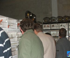 photos2007expo-0012